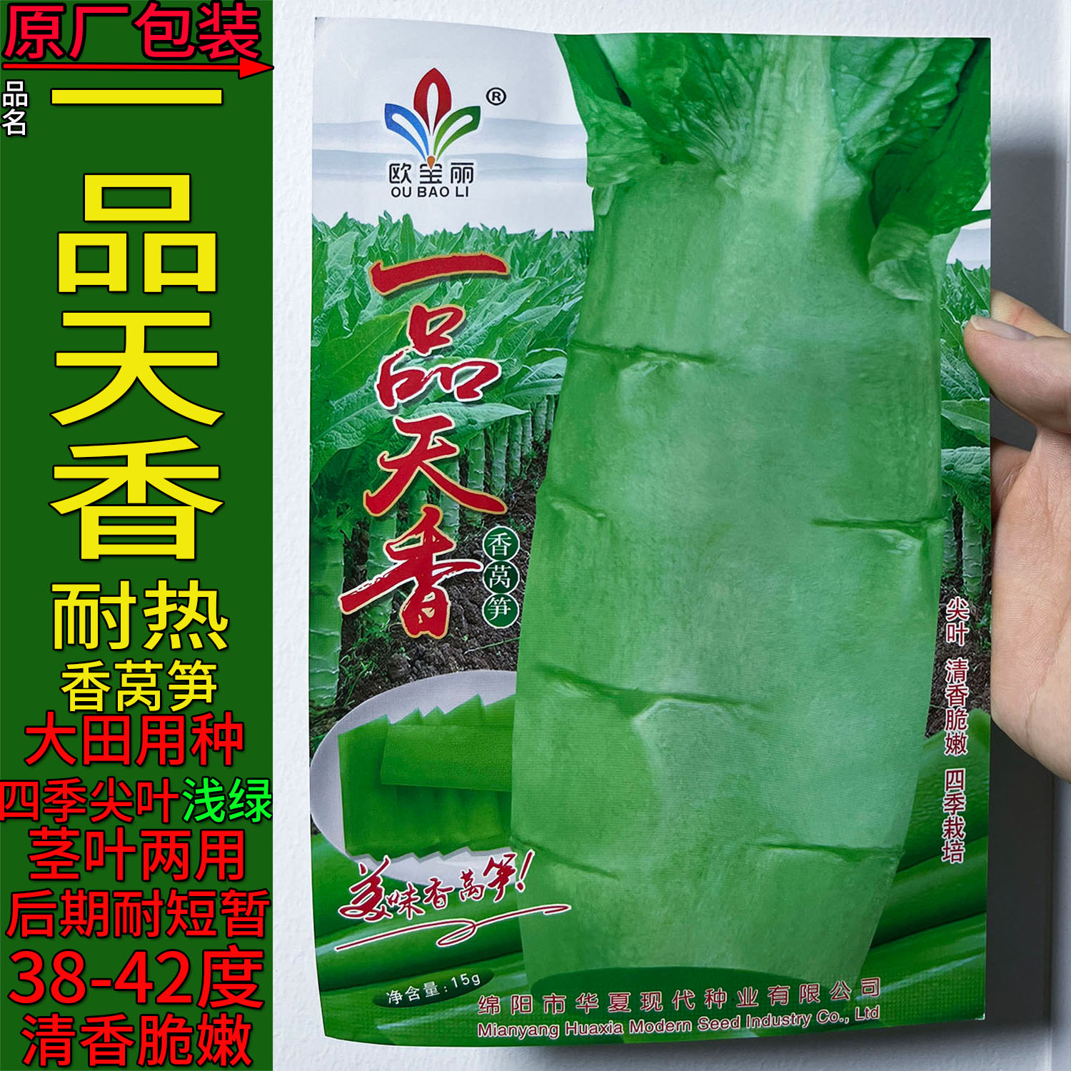 一品天香四季耐热耐寒莴笋种子孑
