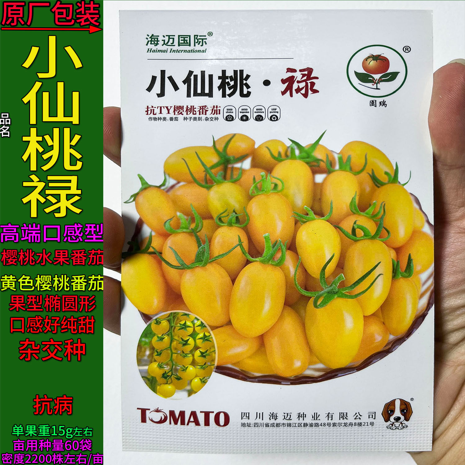 小仙桃禄黄圣女果杂交高产菜种子