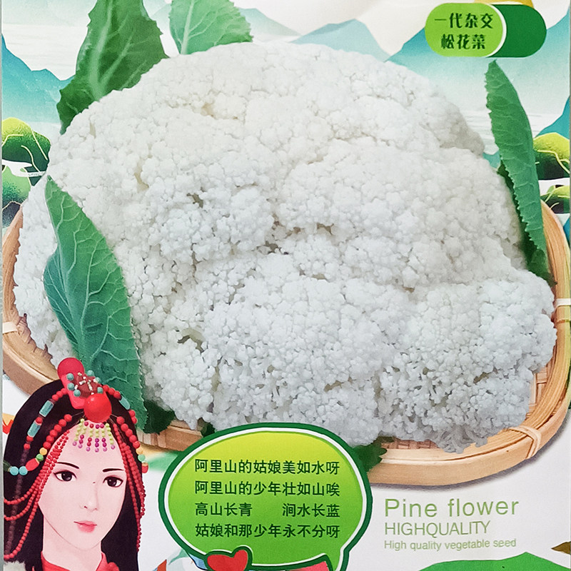 阿里山姑娘2000粒杂交松花菜种子高产白花蔬菜孑籽杂交高产大田椰