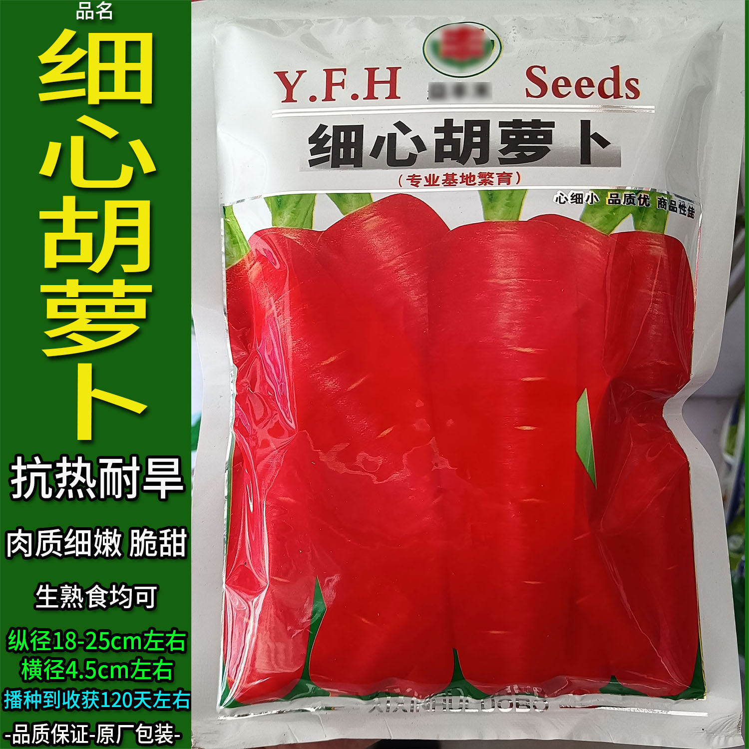 细心胡萝卜250g四川胡蔬菜种子