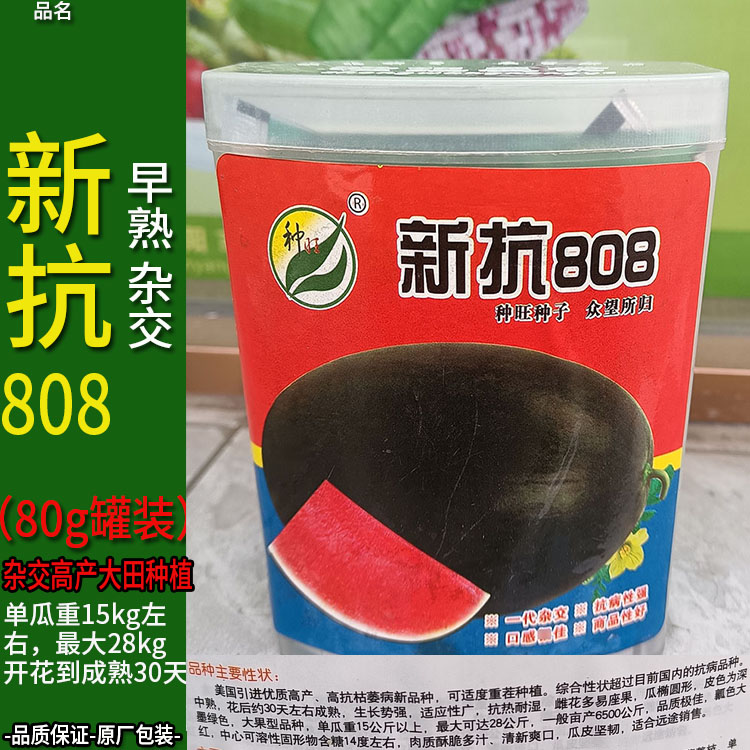 新抗88-80g西瓜夏瓜寒瓜水果种子