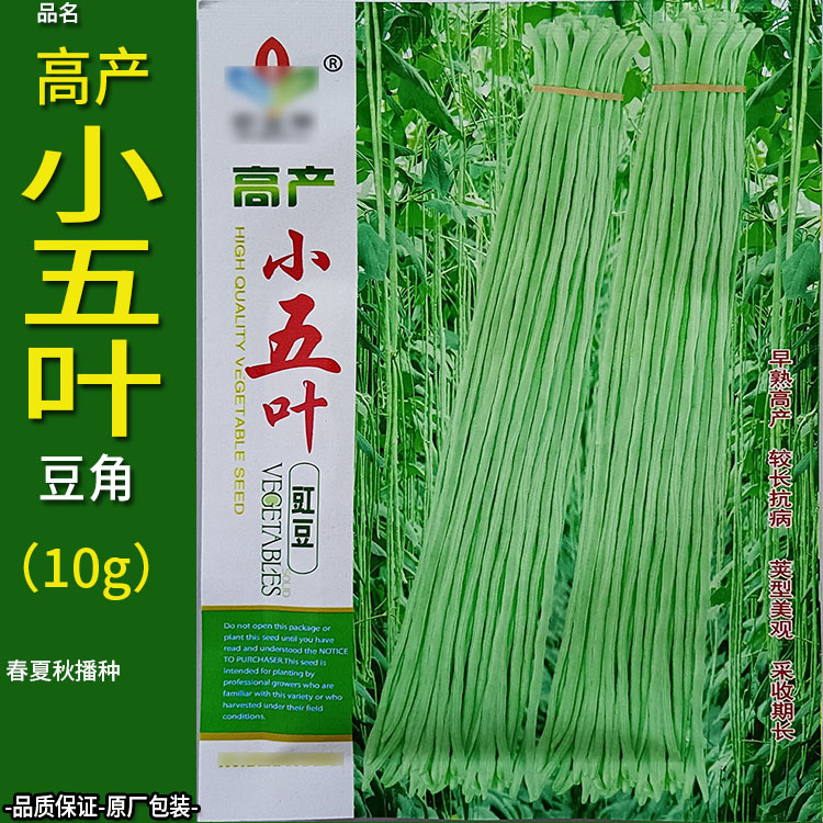 高产小五叶豇豆10g长豆角豇豆带豆四季蔬菜种子孑籽脆酸菜泡菜盆