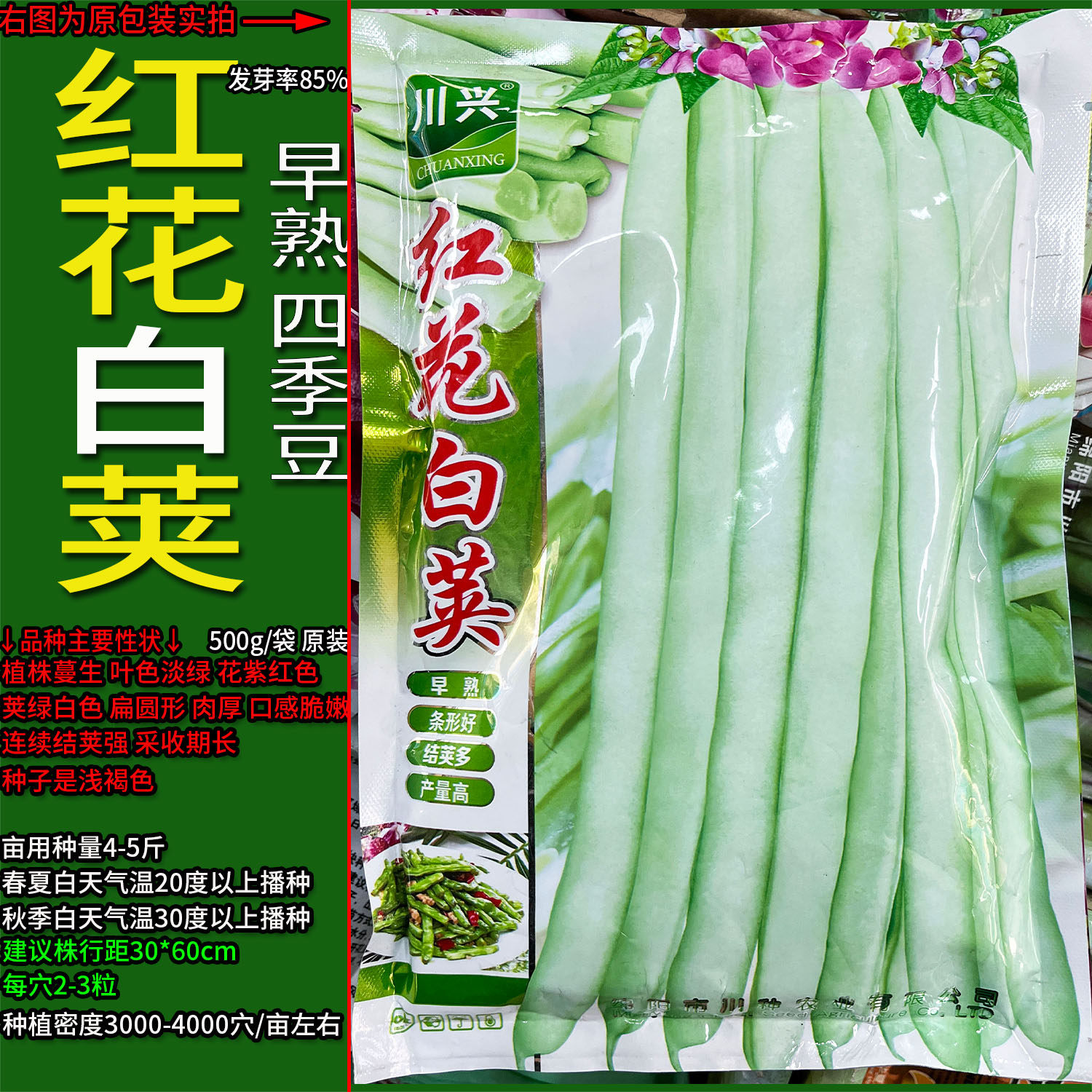 红花白荚500g四季豆蔬菜种子孑籽别名架豆芸豆刀豆芸扁豆莱豆庭院