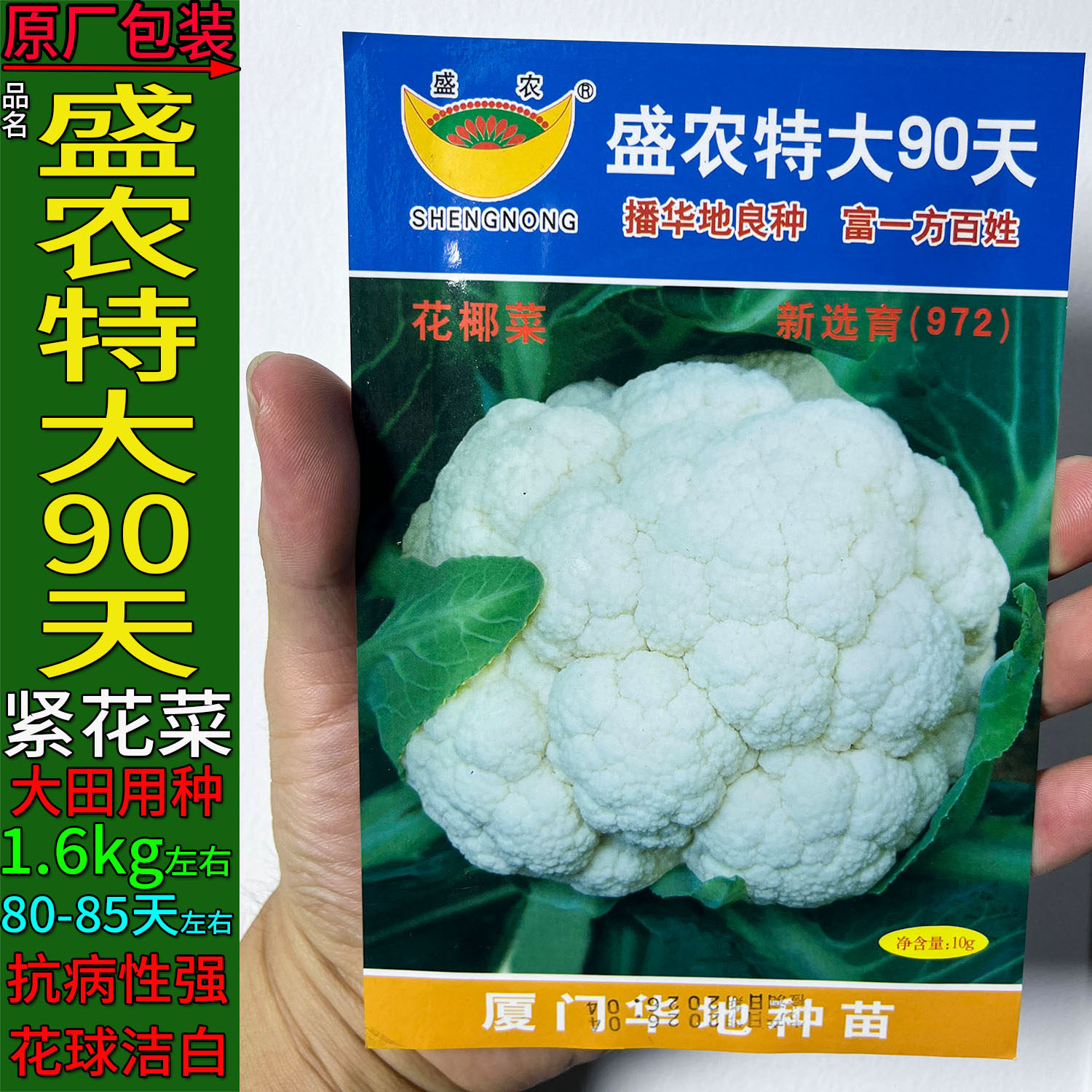 盛农特大90天有机紧白花蔬菜种子