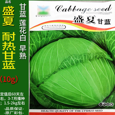 盛夏耐热甘蓝莲花白种子籽仔苗春夏秋播卷心菜洋白菜高丽包菜椰菜