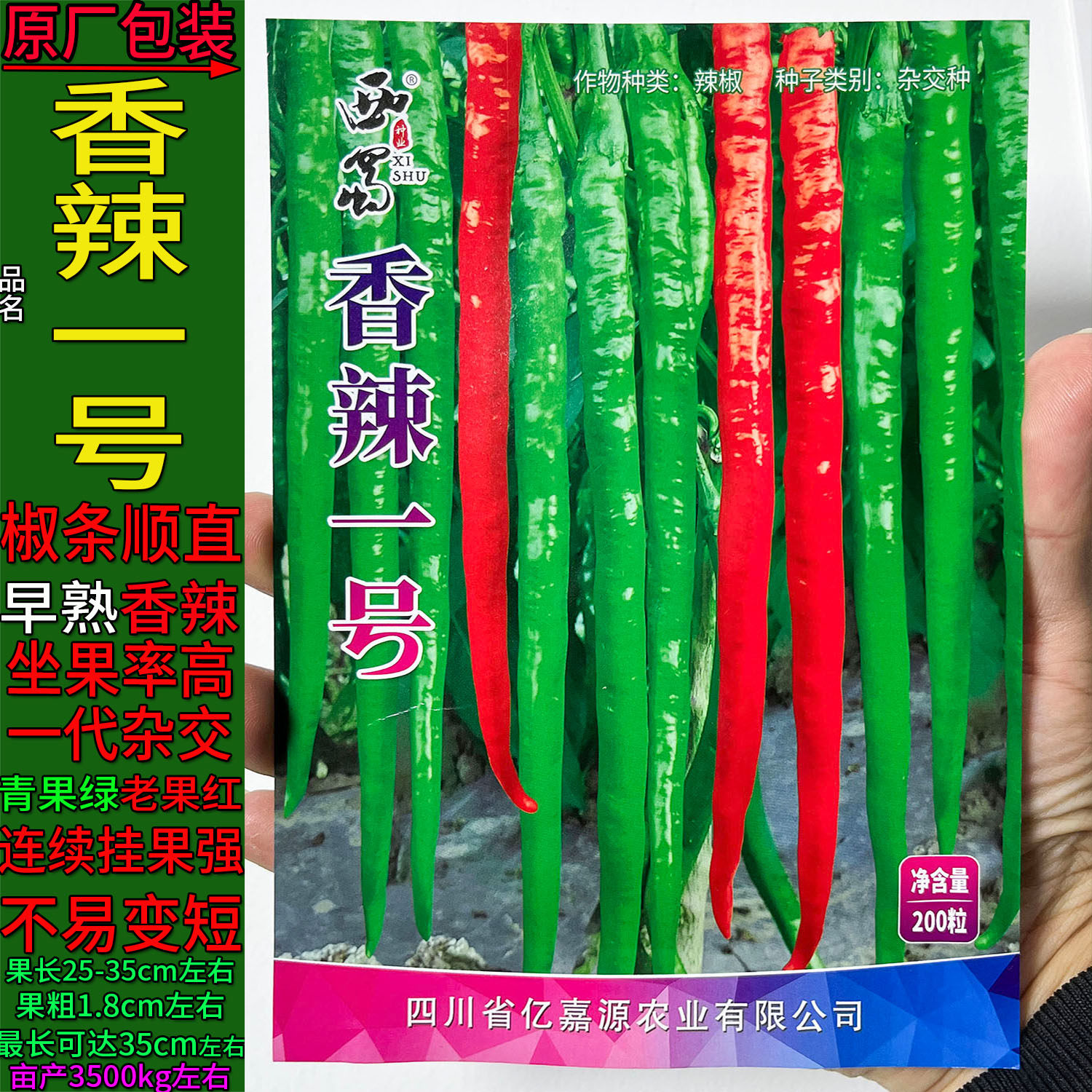 香辣一号二金荆条长线椒青红尖辣椒酱蔬菜种子孑籽杂交高产春夏秋