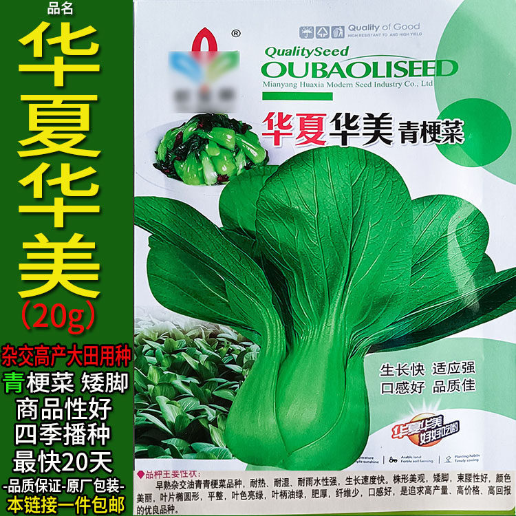 华美青梗10g上海青四季蔬菜种子孑籽别名青梗菜瓢儿瓶小白菜小油