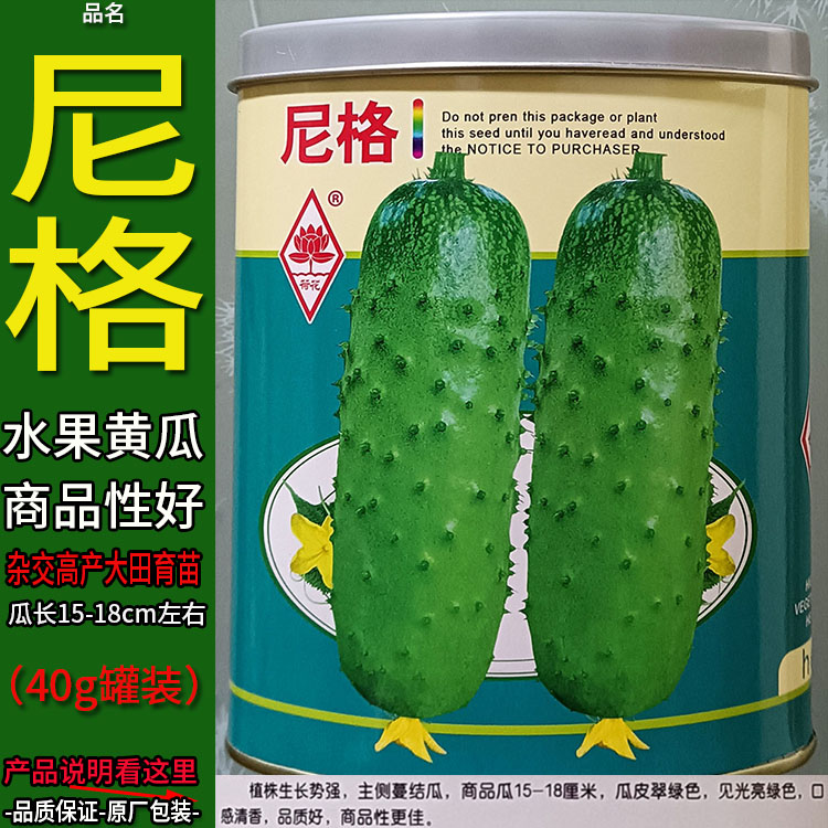 尼格40g罐装水果黄瓜种子孑籽香甜脆胡刺王勤青唐吊瓜大棚高产蔬