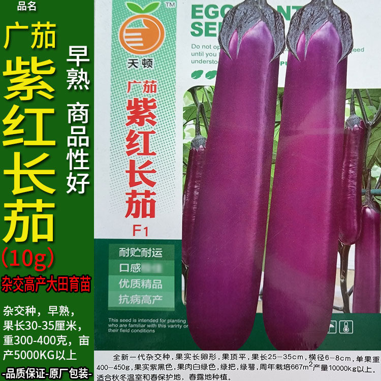 广茄紫红长茄10g茄子蔬菜种子籽