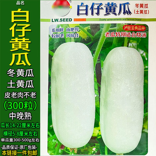 白仔黄瓜冬黄瓜土黄瓜300粒种子孑籽高产胡瓜刺王勤青唐春夏秋冬