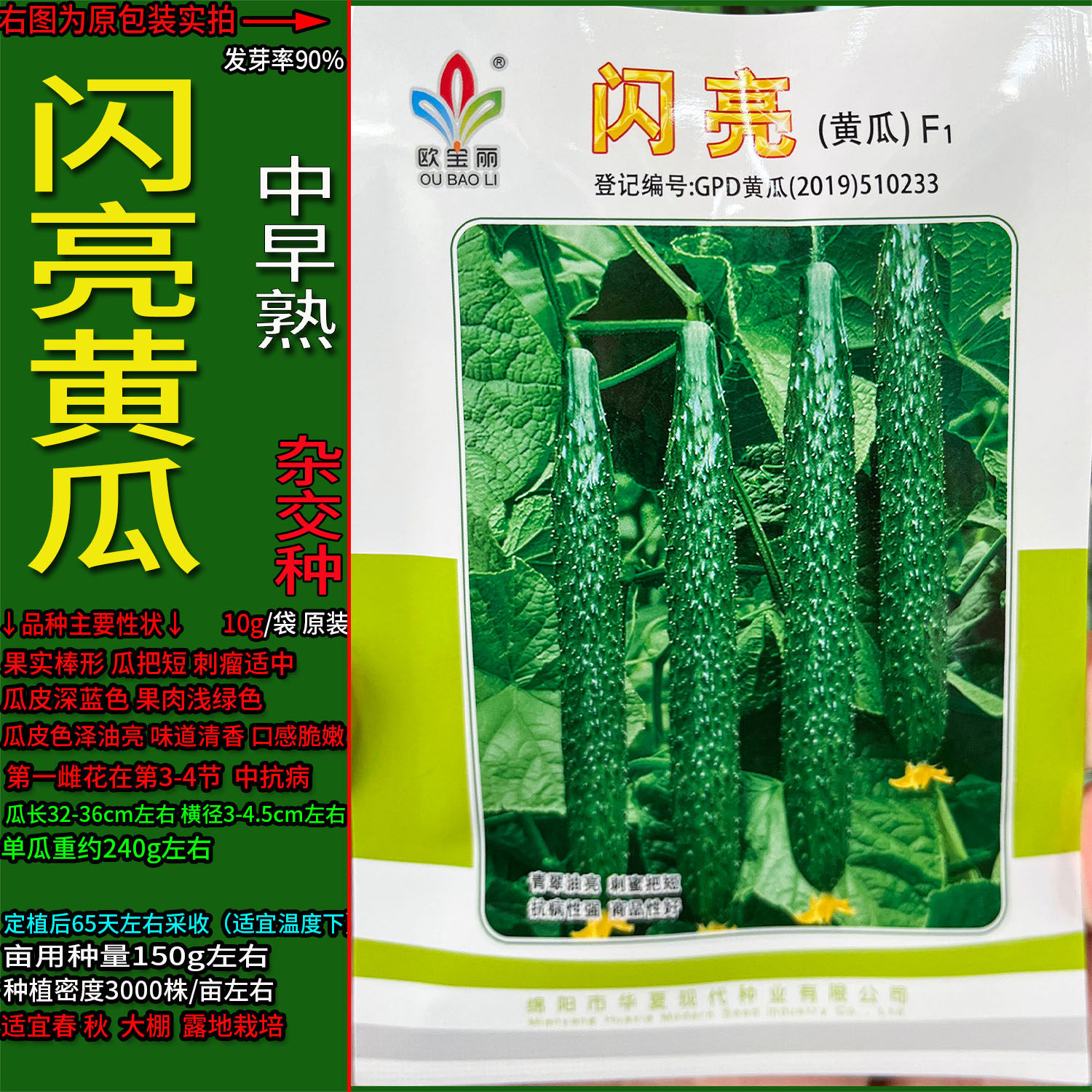闪亮10g青黄瓜种子孑籽高产胡瓜刺王勤青唐吊瓜蔬菜露天大棚春夏