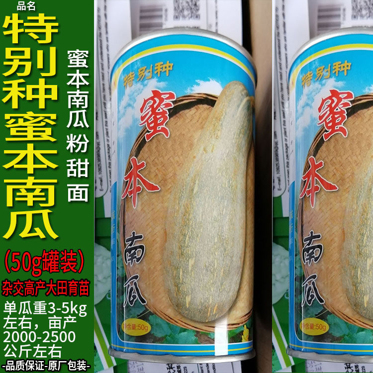 特别种蜜本南瓜50g南瓜倭瓜番瓜饭瓜种子孑籽高产番北瓜秘蜜本春