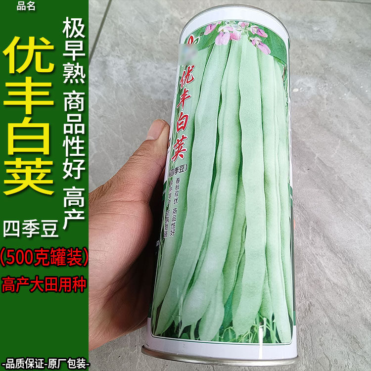 优丰白荚500g红花青白荚四季豆蔬菜种子孑籽架豆芸豆刀豆芸扁豆菜