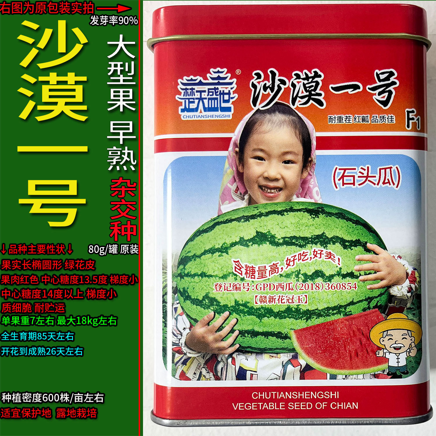 沙漠一号大果长西瓜超甜水果蔬菜种子孑籽杂交高产石头瓜夏瓜寒瓜