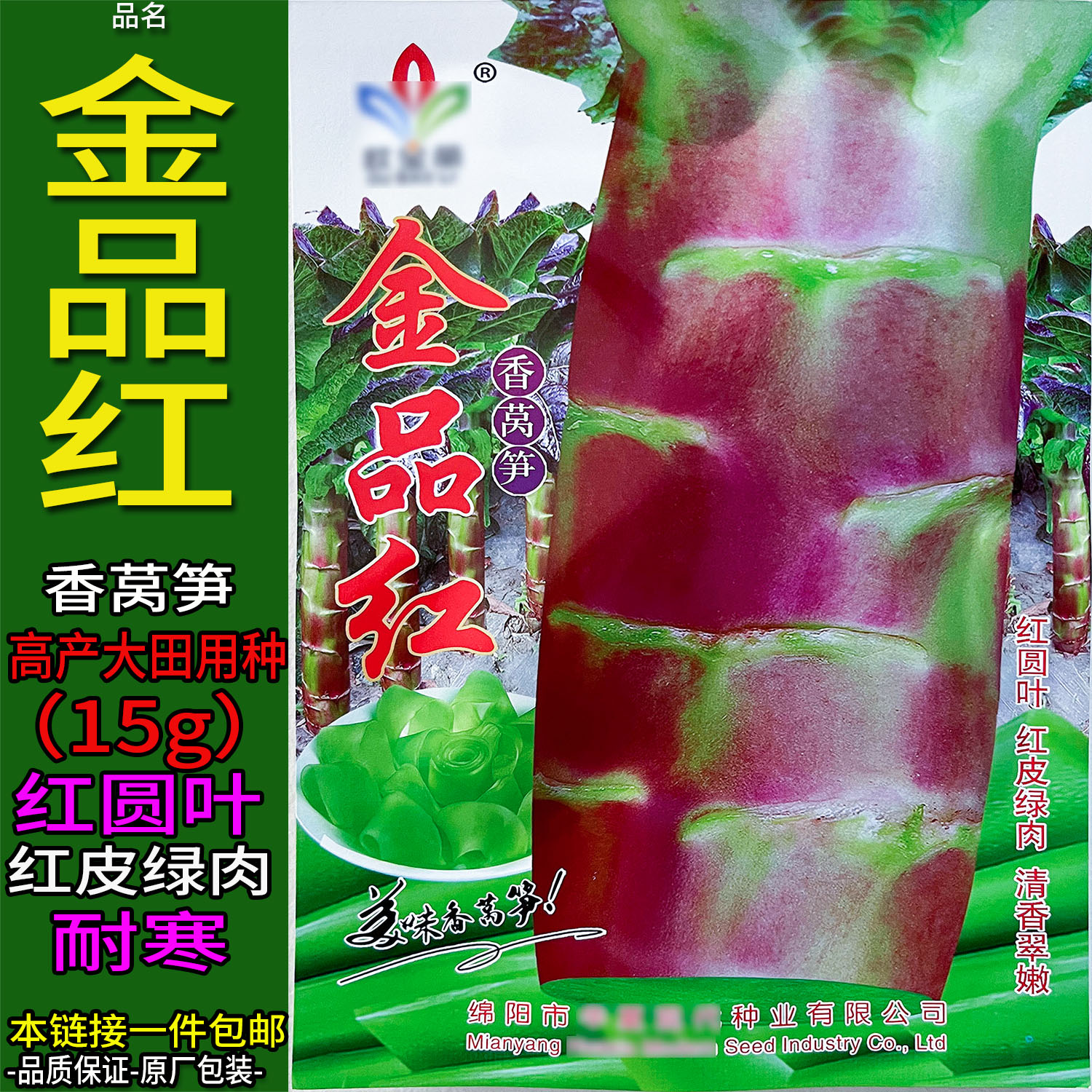 品红15g耐寒莴笋种子孑籽大圆