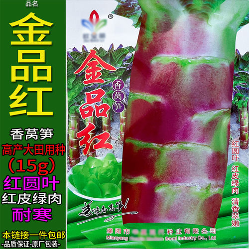 品红15g耐寒莴笋种子孑籽大圆