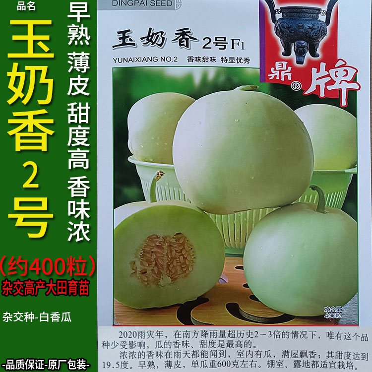 玉奶香2号约400粒 香瓜甜哈密白兰华莱士瓜水果种子孑籽超甜高产