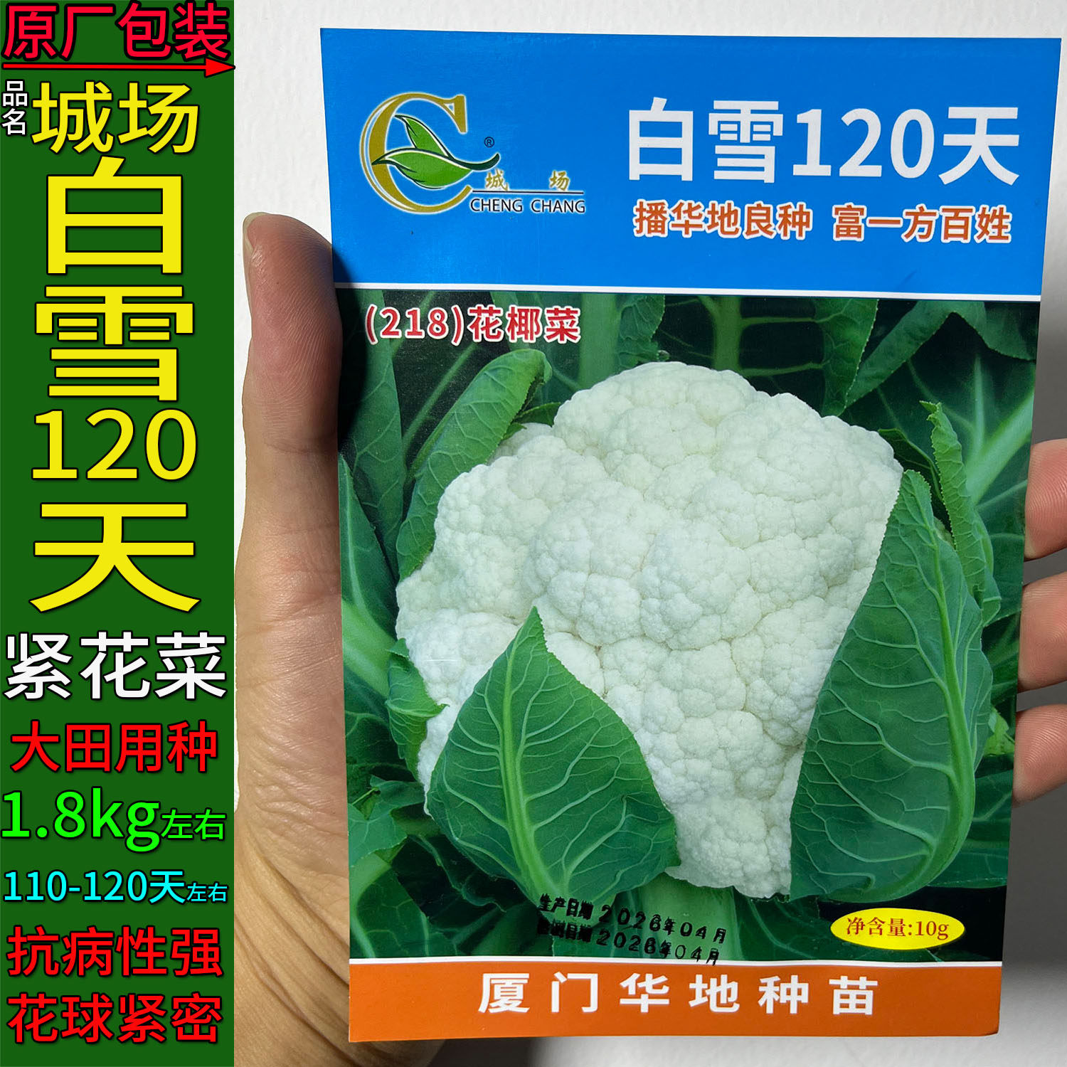 白雪花洋结球蔬菜种子紧花菜