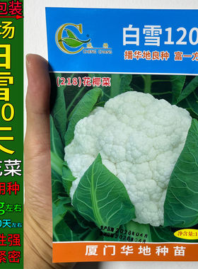 白雪花洋结球蔬菜种子紧花菜