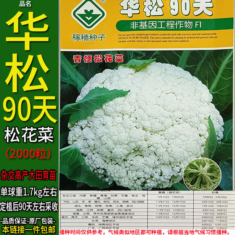 华松90天2000粒高产杂交松花菜种子孑籽蔬菜白花菜青梗甘蓝菜大田