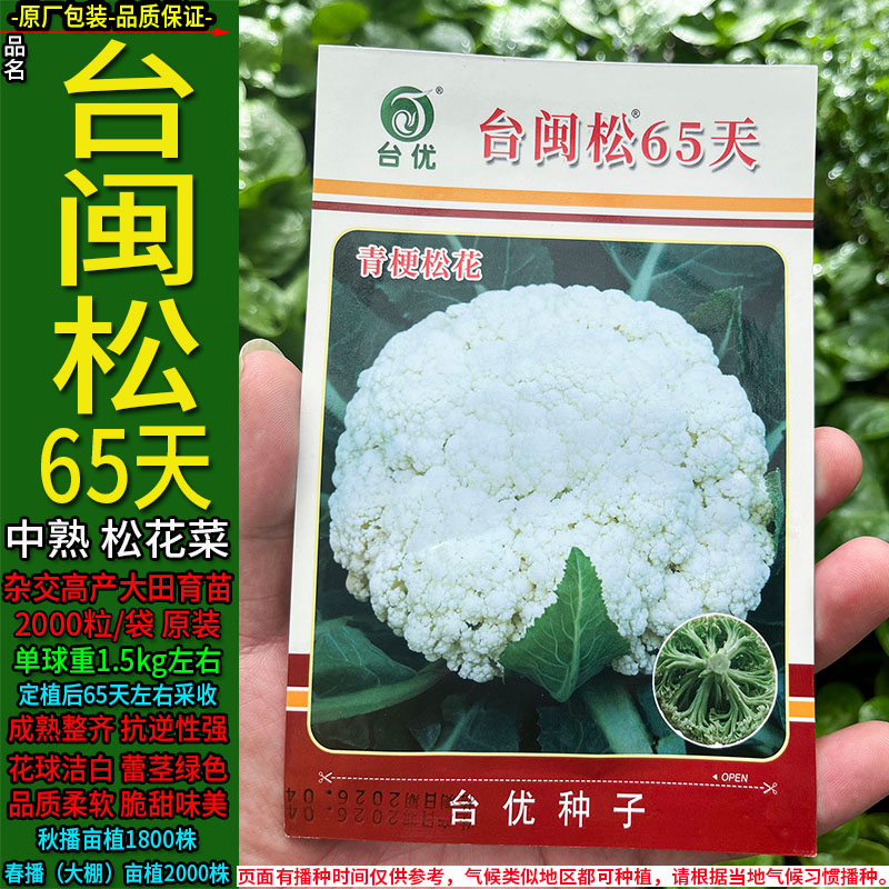 65-70-80-90-100天松散花菜种子