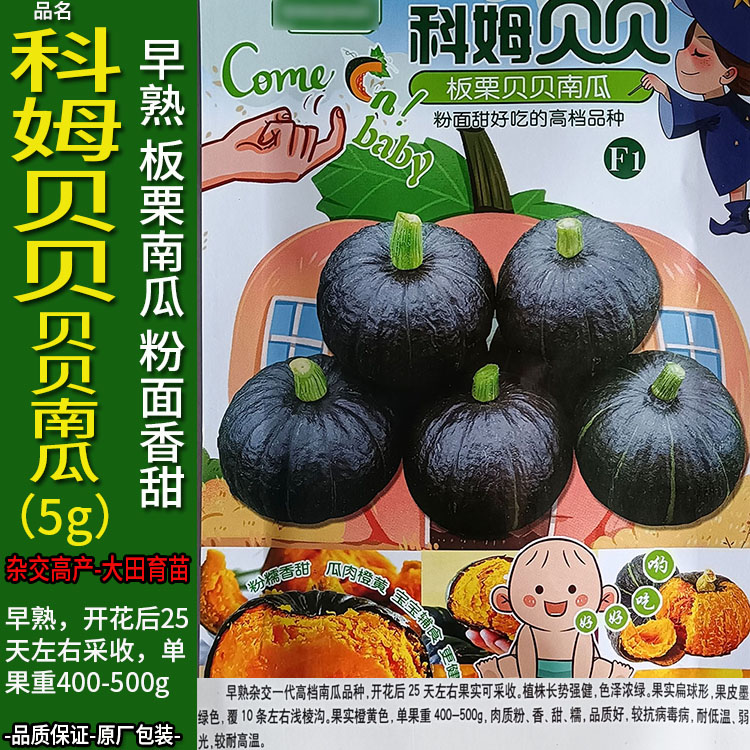 正宗贝贝南瓜小粉面香甜倭瓜番瓜饭瓜番北瓜种子孑籽高产春夏大田