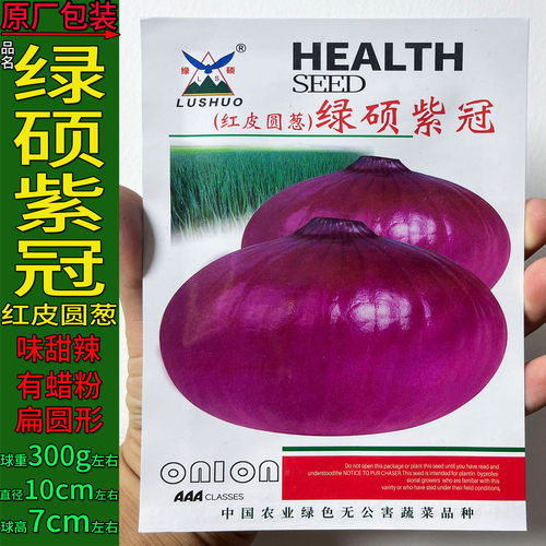 绿硕紫冠红皮洋葱秋季蔬菜种子孑籽学名Allium cepa L大田大棚地