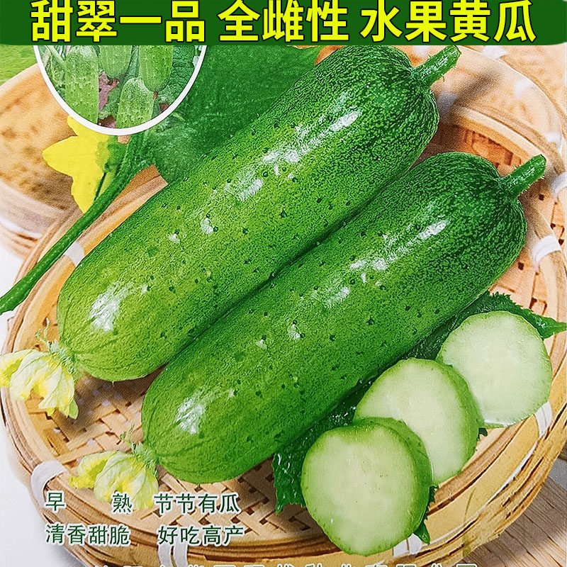 甜翠一品5g水果黄瓜70粒蔬菜种子