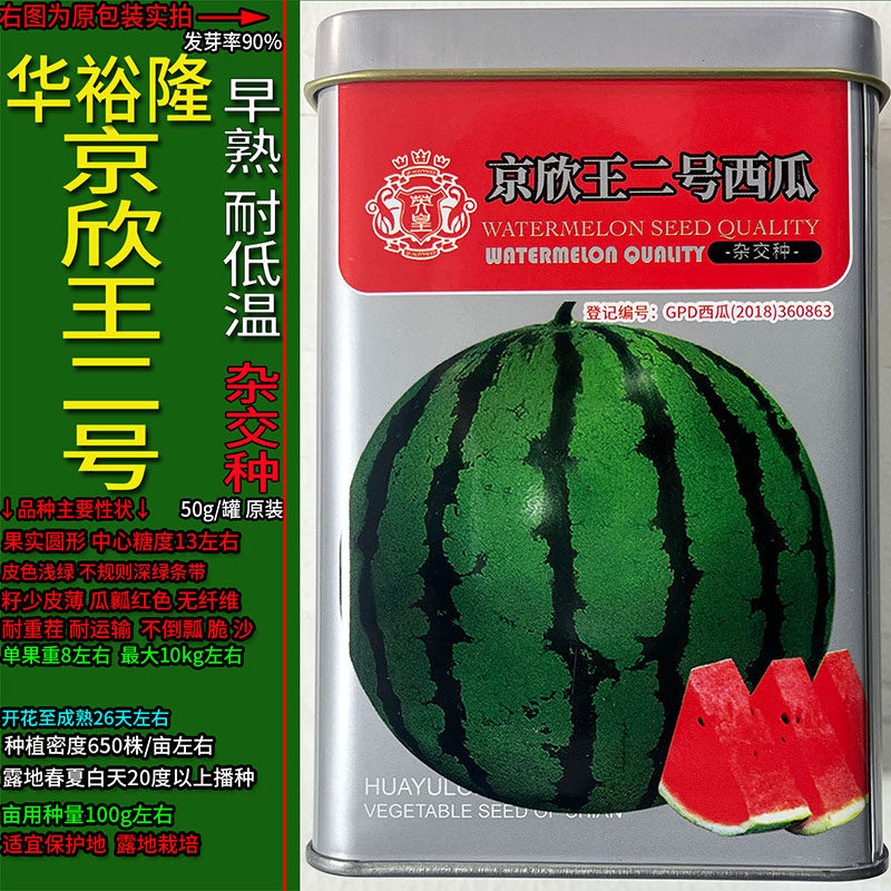 京欣王二号西瓜【50g】西瓜超甜蔬菜水果种子孑籽圆形杂交高产