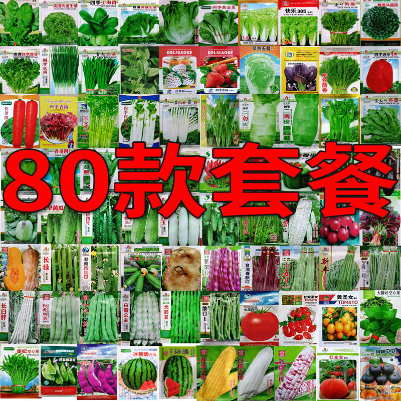 全套套餐80种蔬菜种子籽
