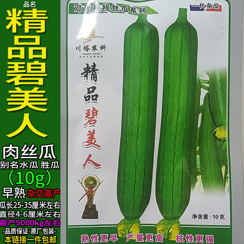 精品碧美人10g杂交高产大肉香丝瓜种子孑籽薄皮胜菜水瓜蔬菜甘香
