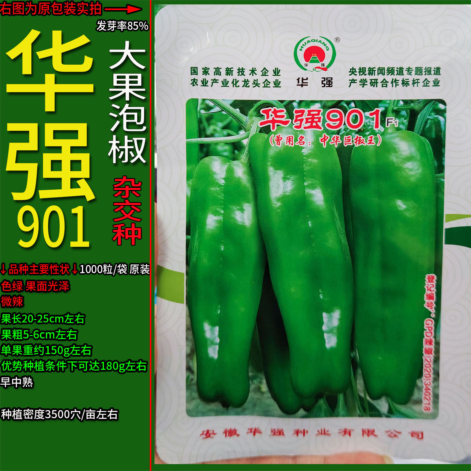 华强901大果辣椒种子孑杂交高产
