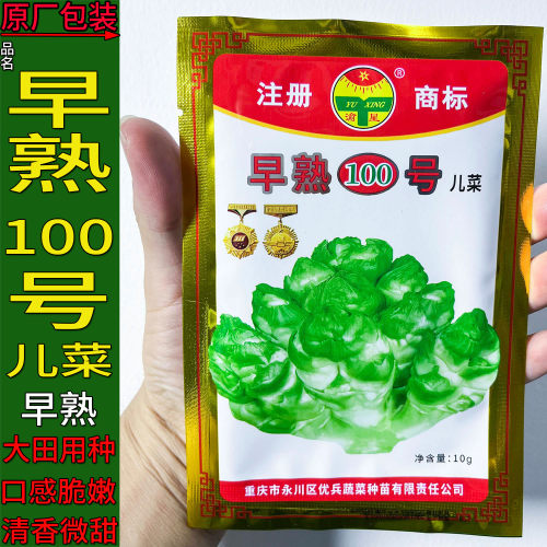 早熟100号儿蔬菜种子孑籽超生菜
