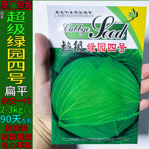超级绿园四号耐热甘蓝莲花白种子