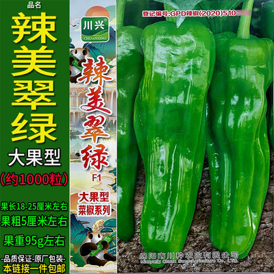 辣美翠绿1000粒二金条长线椒辣椒酱用蔬菜种子孑籽尖二荆条高产红