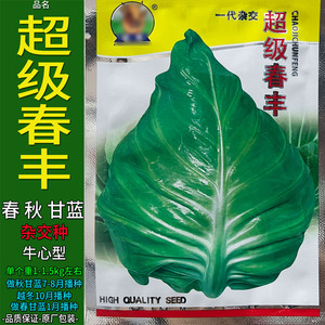 超级春丰甘蓝莲花白牛心蔬菜种子