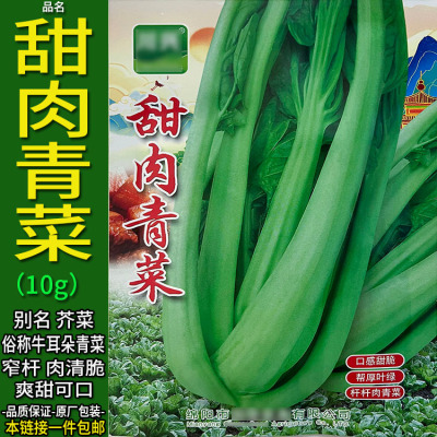 甜肉青菜10g脆甜芥菜种子孑籽窄杆别名牛耳朵盖菜芥挂菜酸菜泡菜
