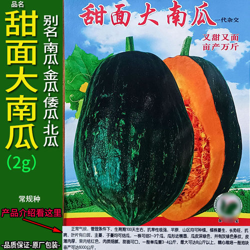 甜面大南瓜2g南瓜倭瓜番蔬菜种子