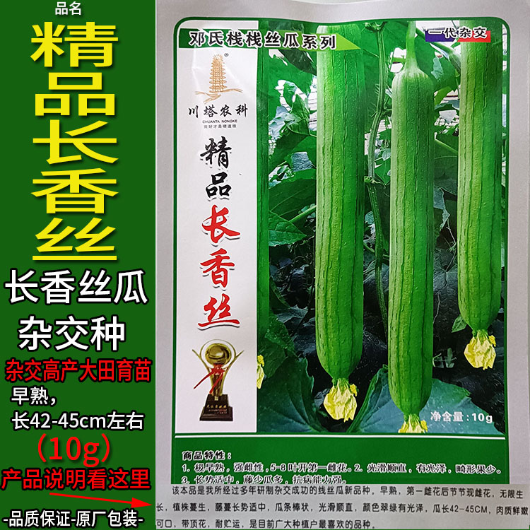 精品长香丝高产长香丝瓜种子孑籽