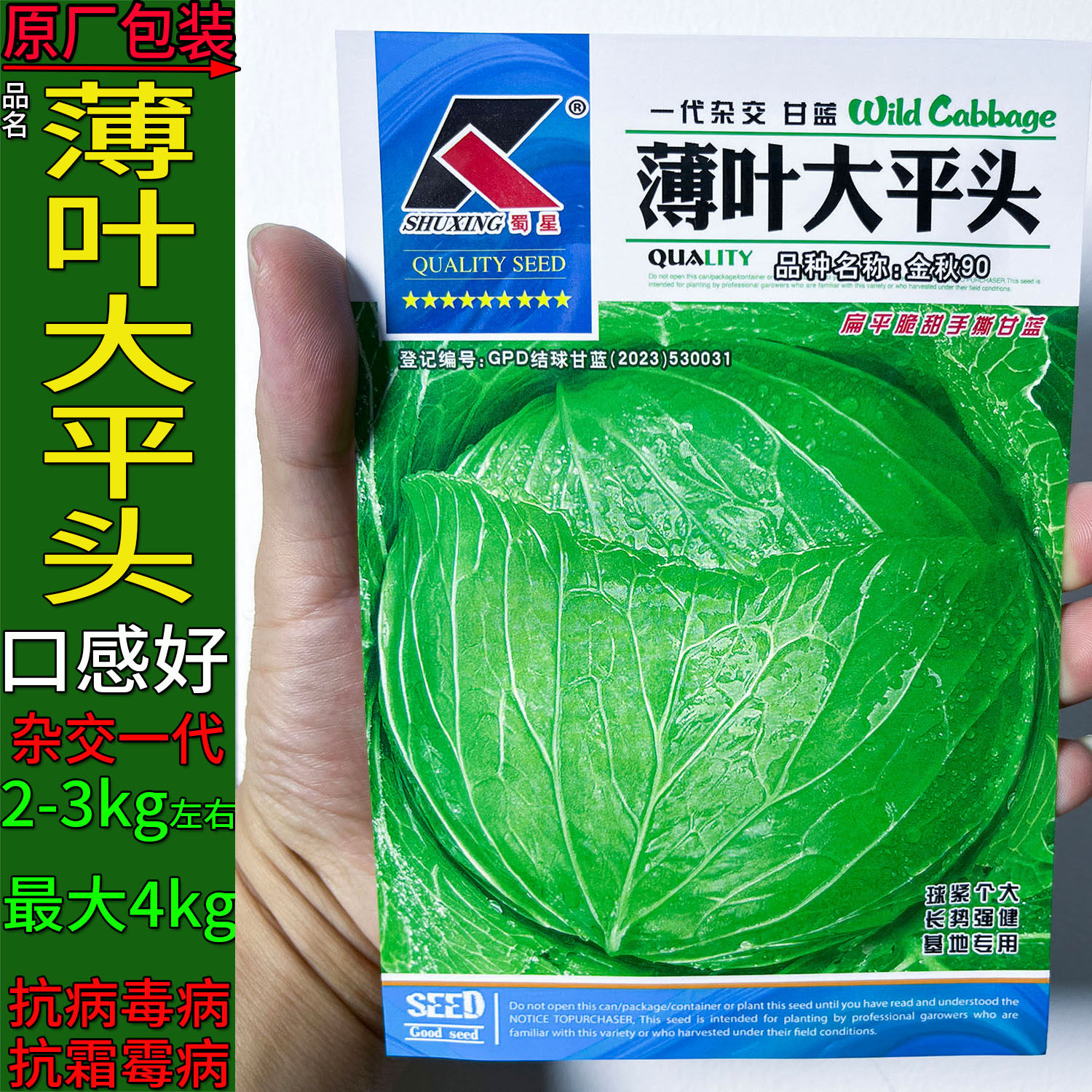 薄叶大平头甘蓝莲花白菜种子高产