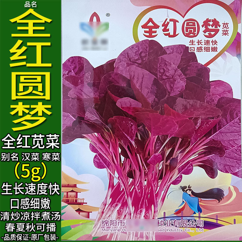 全红圆梦全红苋菜圆叶蔬菜种子孑籽寒菜汉野菜香苋玉米千菜谷红菜