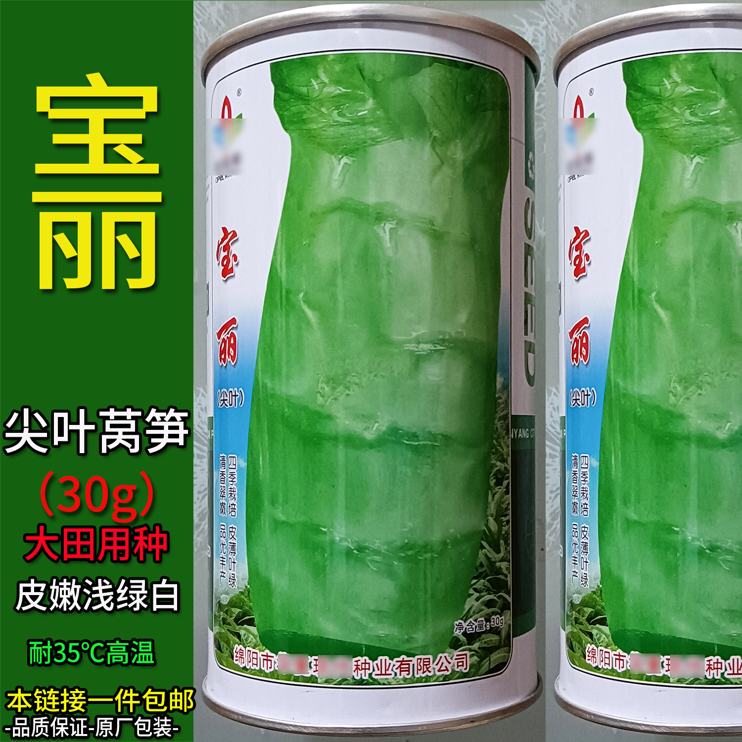 宝丽30g耐热莴笋种子孑籽杂交高产大尖叶蔬菜香浅绿青皮浅绿肉茎