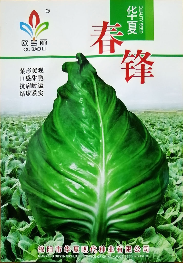 春锋宝塔甘蓝莲花白种子籽仔苗牛心菜牛心白卷心洋白高丽包菜椰菜