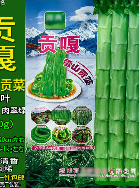 贡嘎雪山贡菜20g蔬菜种子孑籽