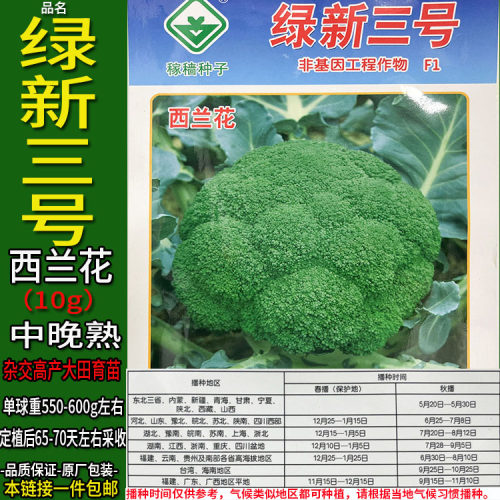绿新三号10g西兰花杂交高产种子孑籽青绿花菜甘蓝椰花菜蔬菜大田