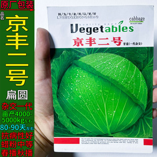 京丰二号10g耐热甘蓝莲花白扁圆蔬菜种子孑籽卷心包菜椰洋圆杂交