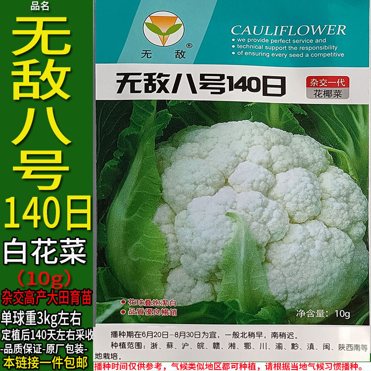 无敌八号140日有机紧白花菜杂交
