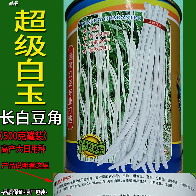 超级白玉长白豆角蔬菜种子籽高产