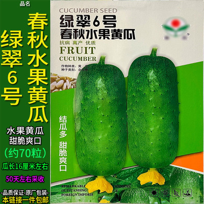 绿翠6号春秋水果黄瓜70粒种子孑籽香甜脆胡刺吊瓜蔬菜春夏秋季播