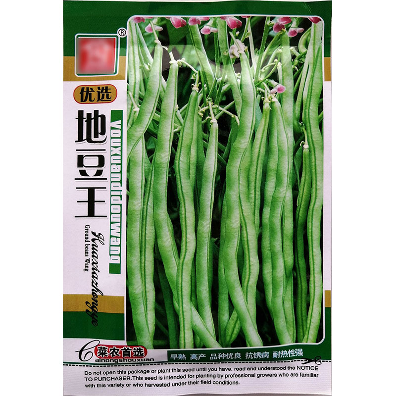 无架之宝地豆四季无筋豆种子孑籽